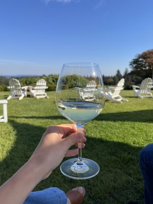 Hawks View Winery by null