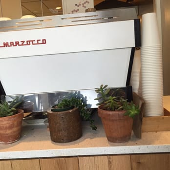 Pavement Coffeehouse - La marzocco espresso machine. - Coffee & Tea Near Me - Allston, Massachusetts Pavement Coffeehouse - La marzocco espresso machine. - Coffee & Tea Near Me - Allston, Massachusetts