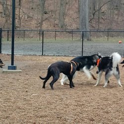 Paws Park of Greenfield - Pea gravel side