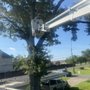 Photo of Foxx Tree Service
