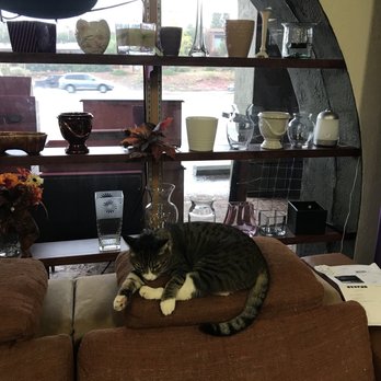 Twice Nice - Cutie resting on the sofa! - Thrift Stores Near Me - Sedona, Arizona