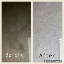 Excellent job and superb customer service! Highly recommended! My living room carpet looks brand new and smells really good. Excellent job and superb customer service! Highly recommended! My living room carpet looks brand new and smells really good.