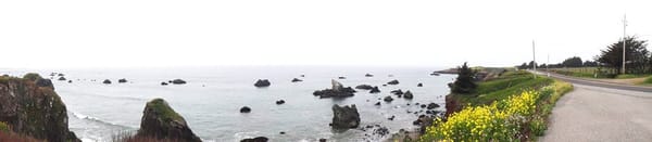 Salt Point State Park by null