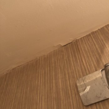 Clarion Hotel - Downtown - University Area - Drywall in the ceiling is breaking down - Hotels Near Me - Oneonta, New York