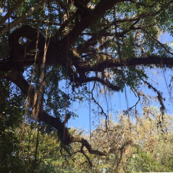 Happehatchee Center - Yoga Near Me - Estero, Florida Happehatchee Center - Yoga Near Me - Estero, Florida