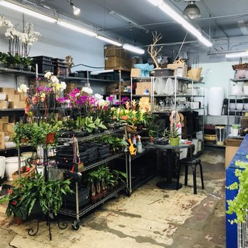 Moon Atelier - Florists Near Me - Los Angeles, California Moon Atelier - Florists Near Me - Los Angeles, California