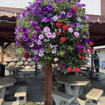 Heidleburger Drive-In - Beautiful Hanging Baskets - Burgers Near Me - Leavenworth, Washington Heidleburger Drive-In - Beautiful Hanging Baskets - Burgers Near Me - Leavenworth, Washington