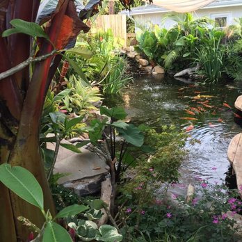 The Pond Digger - First year ! - Landscaping Near Me - Cherry Valley, California