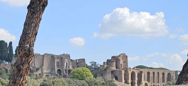 Roman Forum by null