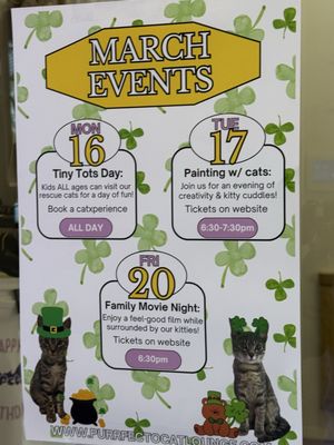 Purrfecto Cat Lounge by null