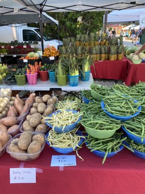 SANIBEL ISLAND FARMERS MARKET - Updated June 2025 - 59 Photos & 40