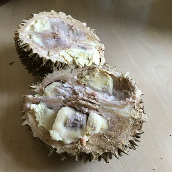 JuiceLand - Challenging to open this spiky fruit without proper equipment. Durian was once a menu ingredient but very exotic and no longer available. - Juice Bars & Smoothies Near Me - Austin, Texas JuiceLand - Challenging to open this spiky fruit without proper equipment. Durian was once a menu ingredient but very exotic and no longer available. - Juice Bars & Smoothies Near Me - Austin, Texas