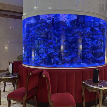 Kimberly Hotel - Fish tank in the lobby! - Hotels Near Me - New York, New York