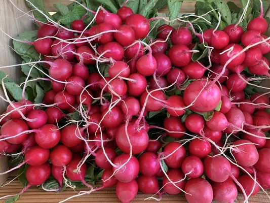 Gilbert Farmers Market by null
