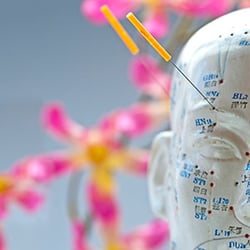 Vital Changes Acupuncture and Nutrition - The Mei Zen Cosmetic Acupuncture System™ is a healthy approach to a more beautiful and youthful appearance.