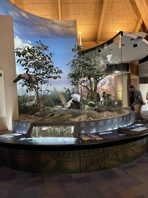 Ernest F. Coe Visitor Center by null