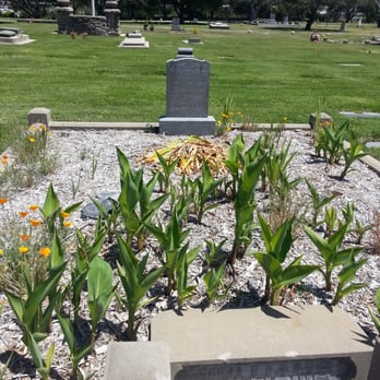 San Carlos Catholic Cemetery - Funeral Services & Cemeteries Near Me - Monterey, California San Carlos Catholic Cemetery - Funeral Services & Cemeteries Near Me - Monterey, California