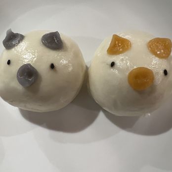 Cafe Aloe - Taro piggy bun on the left, custard piggy bun on the right - Cafes Near Me - Bellevue, Washington Cafe Aloe - Taro piggy bun on the left, custard piggy bun on the right - Cafes Near Me - Bellevue, Washington