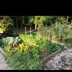 Shepherd’s Gate Inn - Herb garden