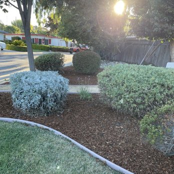 Gonzalez Landscaping - Front yard2 - Landscaping Near Me Gonzalez Landscaping - Front yard2 - Landscaping Near Me