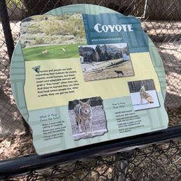 Coyote Sign Coyote Sign
