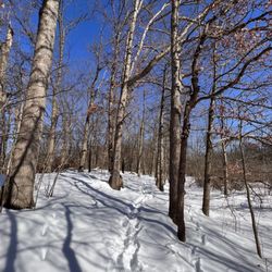 Cooperrider-Kent Bog State Nature Preserve