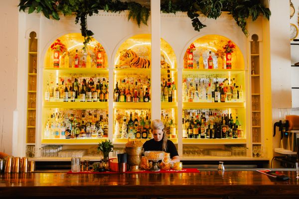 Brother Wolf by null