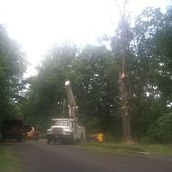 Sadler Tree Service - Tree Services Near Me - Blackstone, Virginia Sadler Tree Service - Tree Services Near Me - Blackstone, Virginia