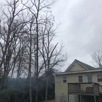 Clean Cut Tree Care - Tree Services Near Me