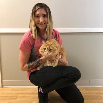 Meier Veterinary Clinic - Veterinarians Near Me - Marion, Iowa Meier Veterinary Clinic - Veterinarians Near Me - Marion, Iowa
