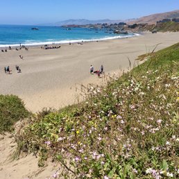 Beach from Sea Cliff