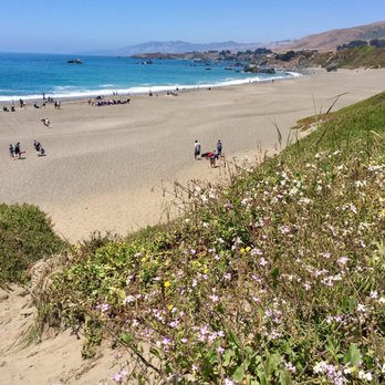 Portuguese Beach - Beach from Sea Cliff - Beaches Near Me - Bodega Bay, California