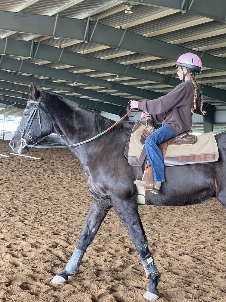 BILLINGS EQUESTRIAN Updated August 2024 15 Photos & 22 Reviews