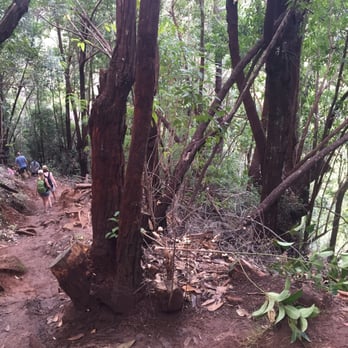 Koke'e Natural History Museum - Canyon trail hike - Museums Near Me - Kekaha, Hawaii