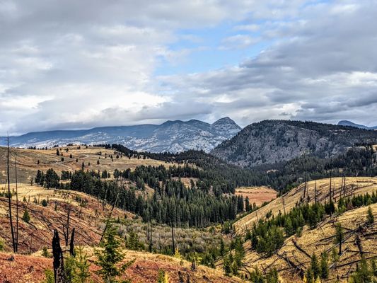Lamar Valley by null