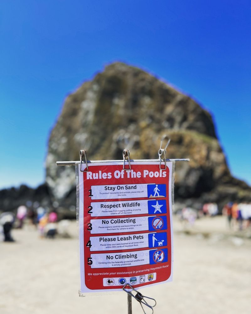 Cannon Beach Logo