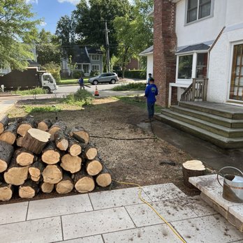 Ortega’s Tree Service - Cleaning the job site - Tree Services Near Me - McLean, Virginia