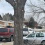 Photo of Affordable Tree Service