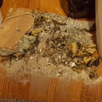 Kenny Carpets 16 Photos Flooring 3240 Transit Rd Buffalo Ny Phone Number Yelp