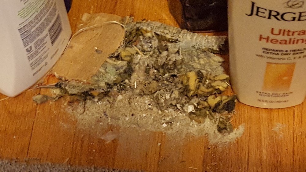 KENNY CARPETS 16 Photos & 10 Reviews Flooring 3240 Transit Rd