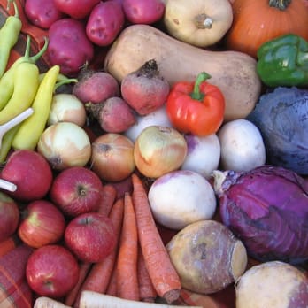Culinary Delights Farm - a variety of vegetables - CSA Near Me - Big Lake, Minnesota Culinary Delights Farm - a variety of vegetables - CSA Near Me - Big Lake, Minnesota