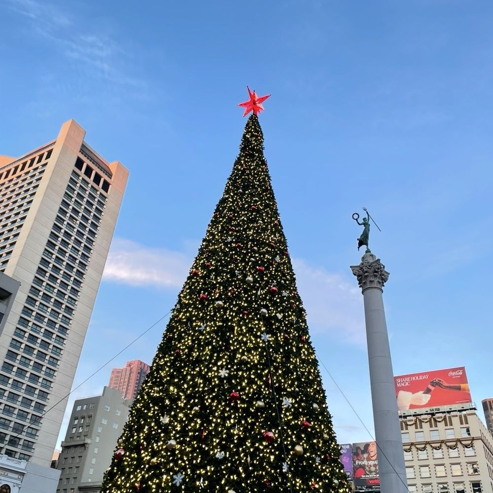 Christmas tree! Christmas tree!