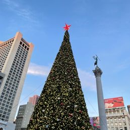 Christmas tree! Christmas tree!