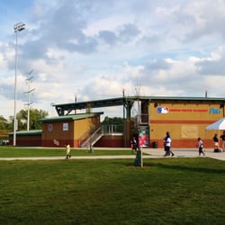 The main field