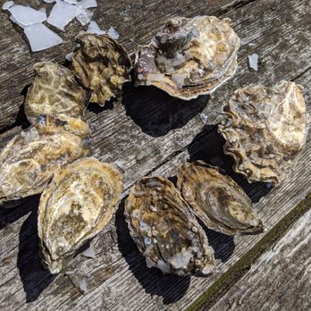 Taylor Shellfish Farms - Seafood Markets Near Me - Bow, Washington Taylor Shellfish Farms - Seafood Markets Near Me - Bow, Washington