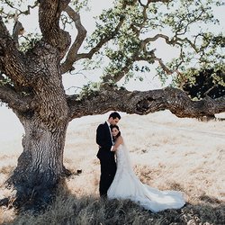 byDesign Films - One of our favorites.