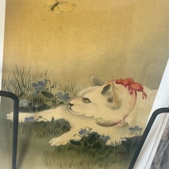 Forest Books - I seen this jelly cat looking at people sideways in SF on my social media feed - Bookstores Near Me - San Francisco, California Forest Books - I seen this jelly cat looking at people sideways in SF on my social media feed - Bookstores Near Me - San Francisco, California
