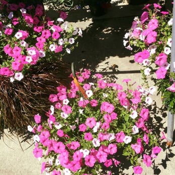 Clegg's Nursery -Siegen Lane - Clegg's Nursery. - Nurseries & Gardening Near Me - Baton Rouge, Louisiana