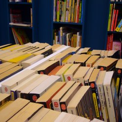 Bouquiniste Brocanteur du Pont Neuf - BookBrok - Bookbrok approved
