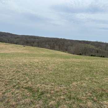 Natchez Trace Stables - Horseback Riding Near Me - Primm Springs, Tennessee Natchez Trace Stables - Horseback Riding Near Me - Primm Springs, Tennessee